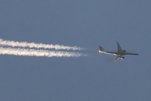 G-LCYZ